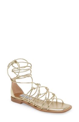 Steve Madden Ainsley Knot Ankle Wrap Sandal in Gold