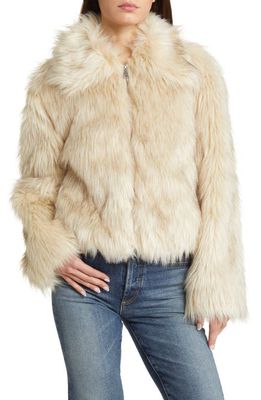 Steve Madden Juniper Faux Fur Crop Jacket in Cream
