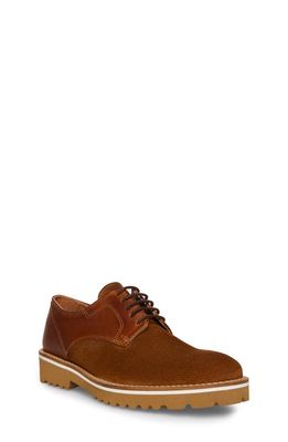 Steve Madden Leather Oxford Sneaker in Cognac Leather