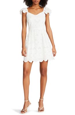 Steve Madden Sierra Floral Eyelet Cotton Minidress in White