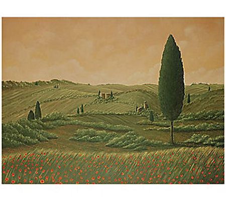 Steven Lavaggi 16 x 20 Print - Tuscan Vision