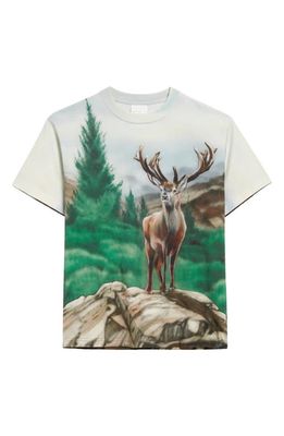 STOCKHOLM SURFBOARD CLUB Teo Airbrush Organic Cotton Graphic T-Shirt in Deer