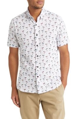 Stone Rose DRY TOUCH Performance Margarita Print Short Sleeve Button-Up Shirt in White