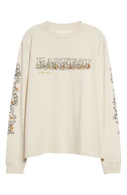 Story mfg. Grateful Long Sleeve Organic Cotton Graphic T-Shirt in Harvest