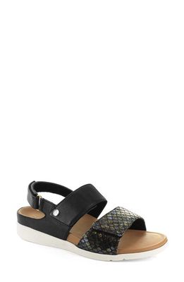 STRIVE Riviera II Slingback Sandal in Black