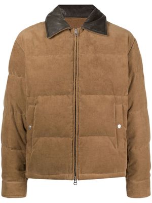 STUDIO TOMBOY contrast-collar corduroy padded jacket - Brown