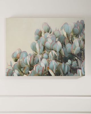 "Succulent 2" Photograph Print on Maple Box Art