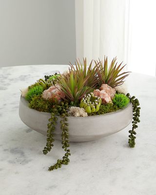 Succulents in Concrete Bowl