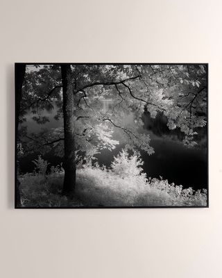 "Summer Light" Photography Print on Wood by Getty Images