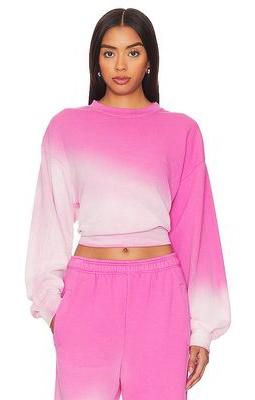 SUNDRY Cropped Sweatshirt in Pink