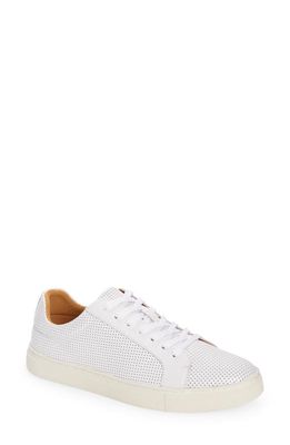 Supply Lab Damry Perforated Sneaker in White Perf