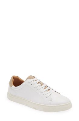 Supply Lab Dumont Leather Sneaker in White/Sand