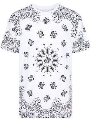Supreme Hanes Bandana Tagless T-shirt pack - White