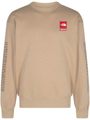 Supreme x The North Face "Khaki" sweatshirt - Neutrals