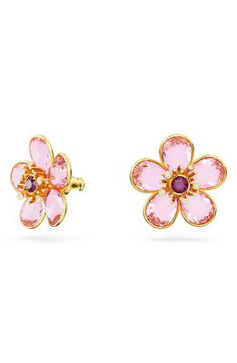 SWAROVSKI Florere Crystal Stud Earrings in Pink