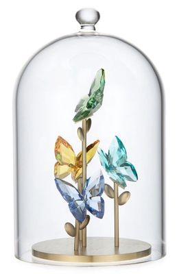SWAROVSKI Jungle Beats Bell Jar Crystal Butterfly Figurine in Multicolored