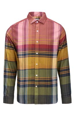 Swims Solva Plaid Flannel Button-Up Shirt in Hickory