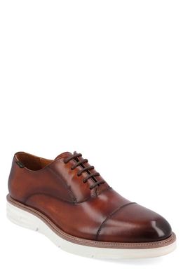 TAFT 365 Leather Oxford in Honey