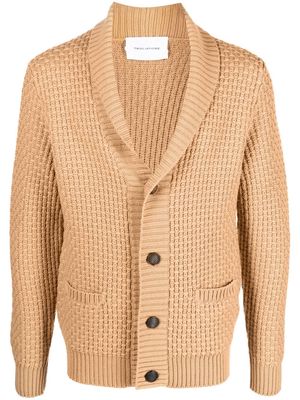 Tagliatore shawl-lapel chunky-knit cardigan - Brown