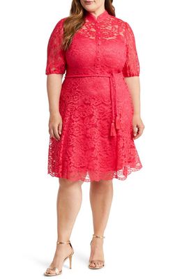 TAHARI ASL Scallop Hem Lace Dress in Raspberry