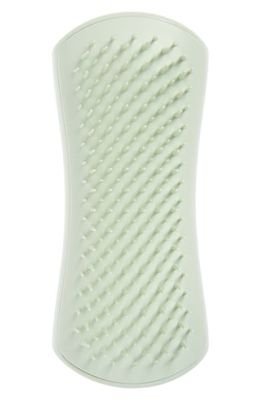 Tangle Teezer Puppy Grooming Dog Brush in Mint