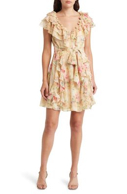 Ted Baker London Ammiah Floral Ruffle Chiffon Dress in Tan