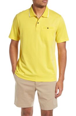 Ted Baker London Galton Tipped Cotton Blend Polo in Yellow