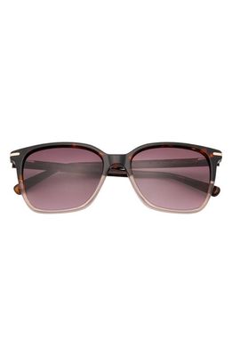 Ted Baker London Gradient Square Sunglasses in Tortoise