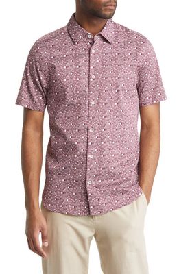 Ted Baker London Macsho Spot Print Short Sleeve Stretch Button-Up Shirt in Maroon