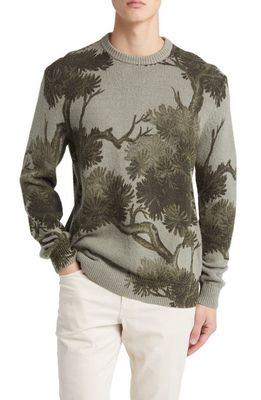 Ted Baker London Merson Textured Tree Print Crewneck Sweater in Green