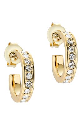 Ted Baker London Seenita Nano Huggie Hoop Earrings in Gold Tone Clear Crystal