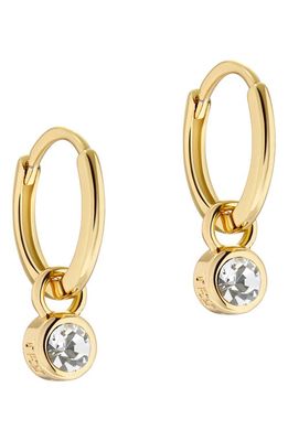 Ted Baker London Sinalaa Crystal Mini Huggie Hoop Earrings in Gold Tone Clear Crystal