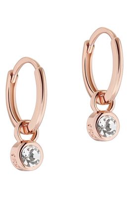 Ted Baker London Sinalaa Crystal Mini Huggie Hoop Earrings in Rose Gold Tone Clear Crystal