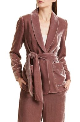 Ted Baker London Tansya Velvet Shawl Collar Blazer in Taupe