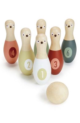 Tender Leaf Toys Birdie Skittles Wooden Bowling Game in Multi