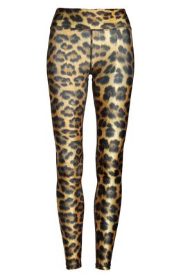 Terez Banded Animal Print Leggings in Leopard Goals
