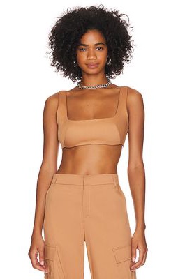 The Andamane Muse Bralette Top in Brown