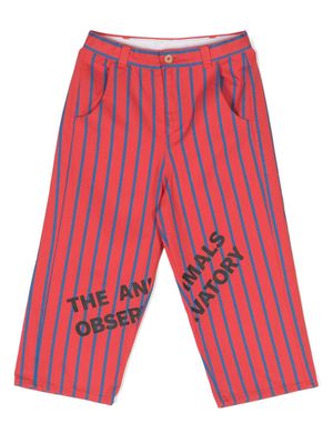 The Animals Observatory Camel stripe-print trousers - Red