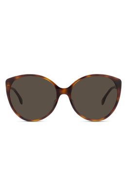 The Fendi Fine 59mm Round Sunglasses in Blonde Havana /Brown