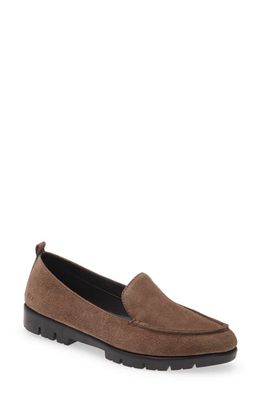 The FLEXX Go Go Loafer in Grafite Suede