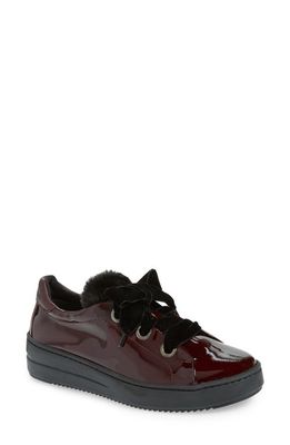 The FLEXX Groove Faux-Shearling Trim Sneaker in Red Leather