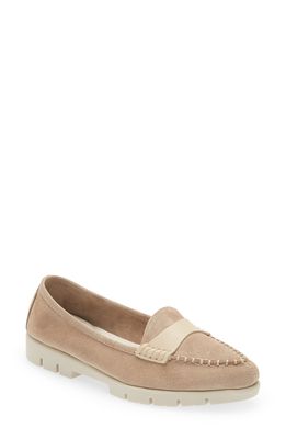 The FLEXX Loaf N Suede Loafer in Dune/Beige Suede/Softy