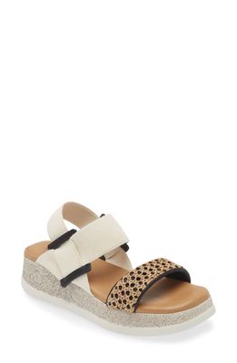 The FLEXX Teresa Too Sandal in Black Cuoio 