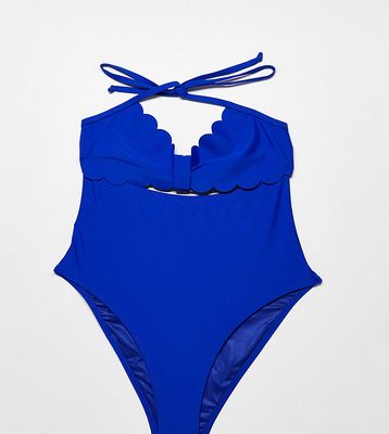 The Frolic Maternity Marella scallop swimsuit in cobalt blue
