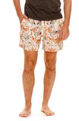 The Lazy Poet Ben Peach Jungle Pajama Shorts in Pink