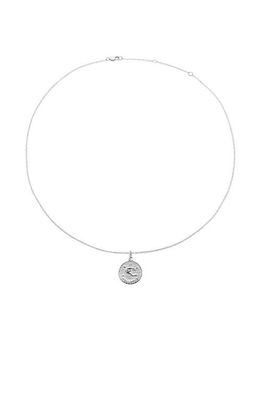 The M Jewelers The Zodiac Medallion Necklace in Silver - Aquarius