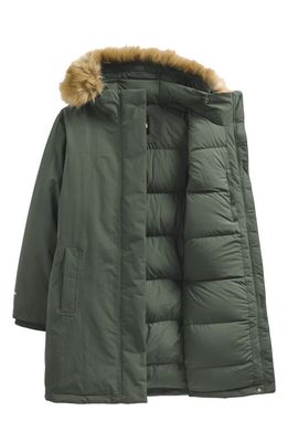 The North Face Arctic Water Repellent 550-Fill Power Down Parka in Thyme