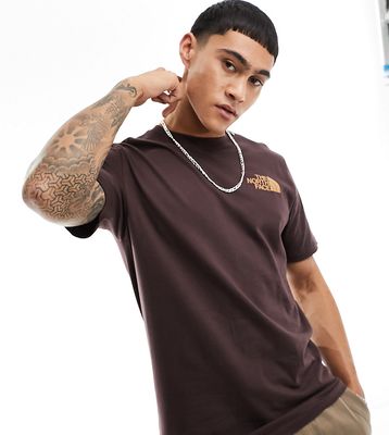 The North Face construction back print t-shirt in brown Exclusive to ASOS