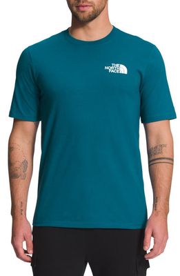 The North Face Coordinates Graphic T-Shirt in Blue Coral/Tnf White