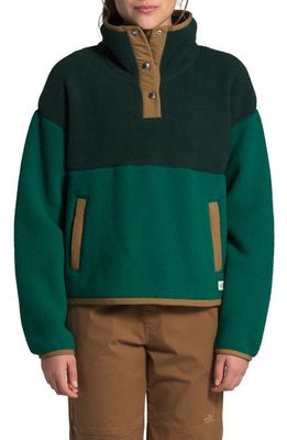 The North Face Cragmont Fleece Pullover Jacket in Scarab Green/evergreen